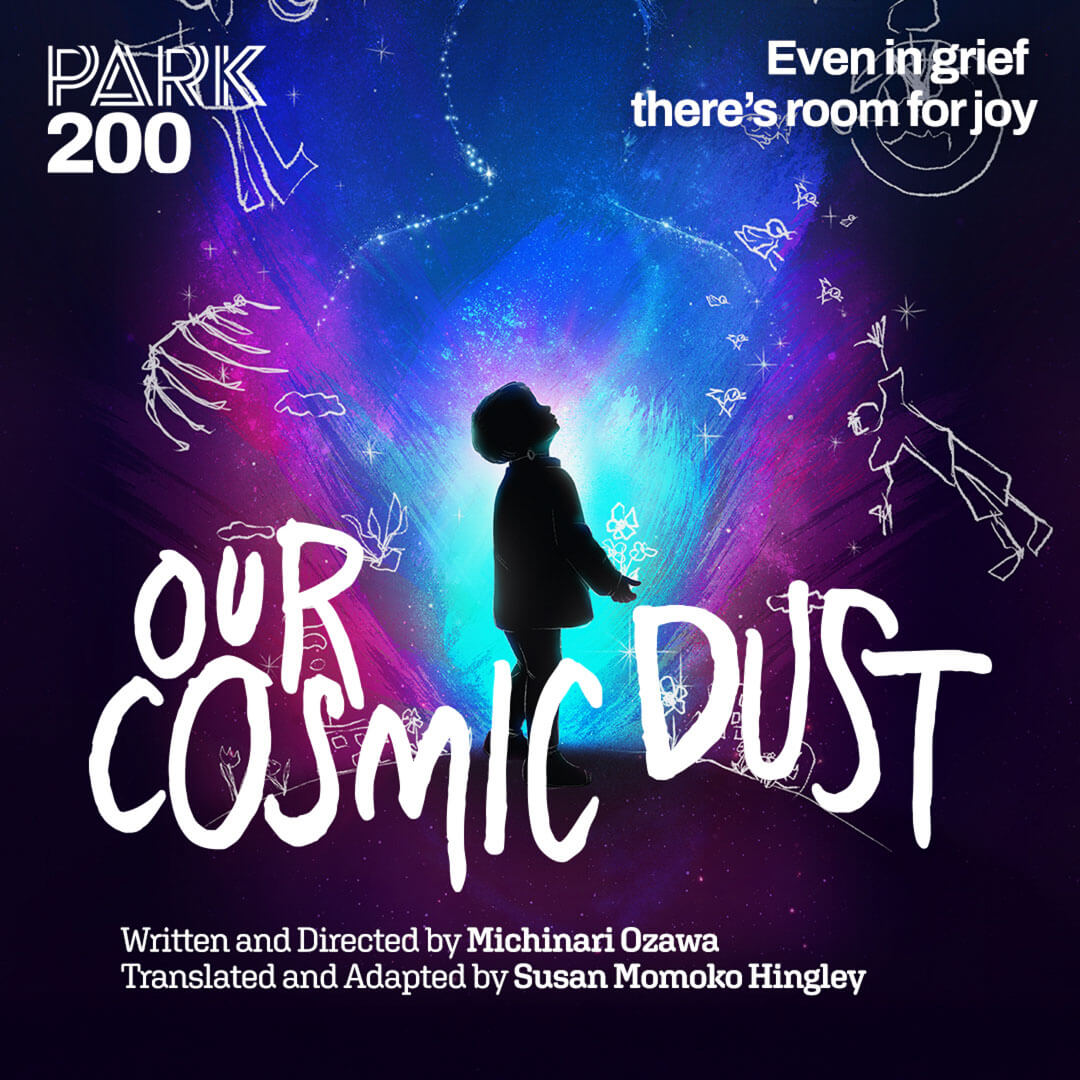 Our Cosmic Dust